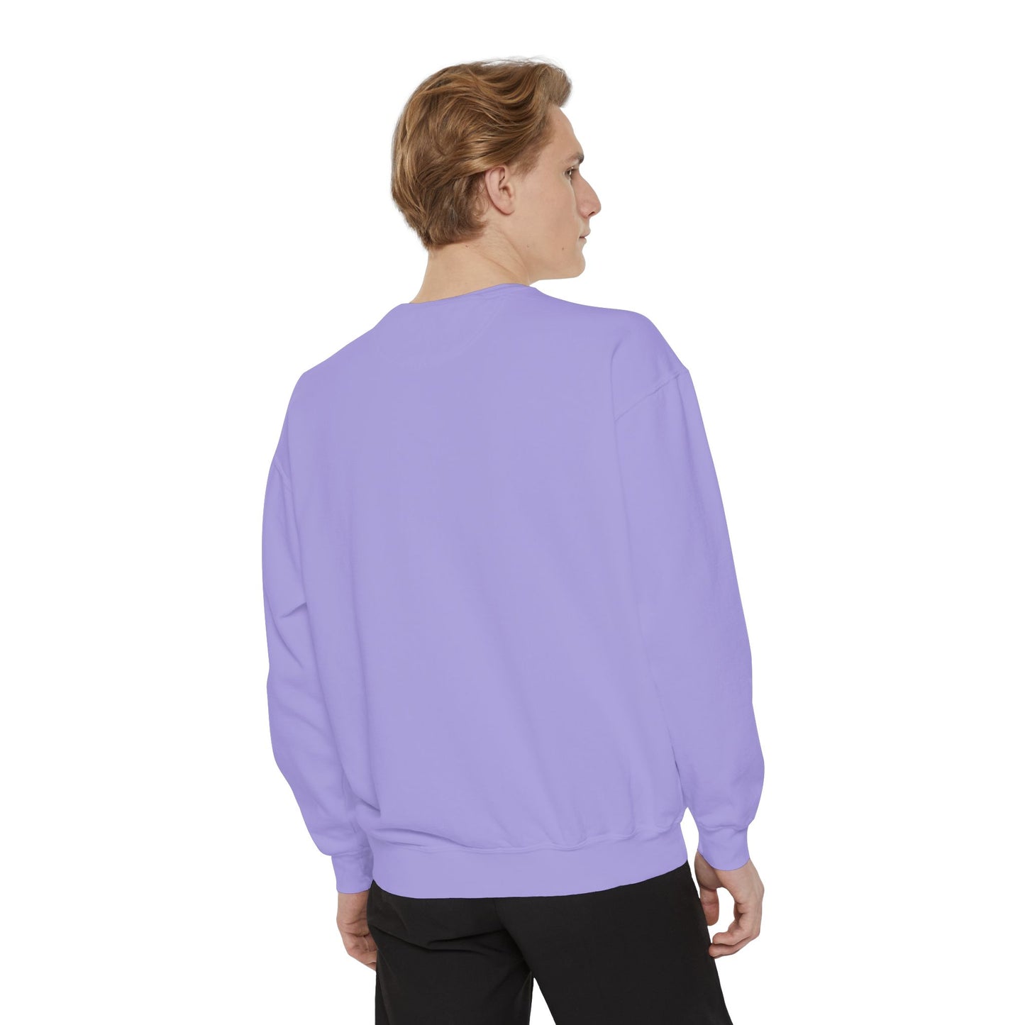 Garment-Dyed Sweatshirt, Unisex, Space Animal Design v1, Aries