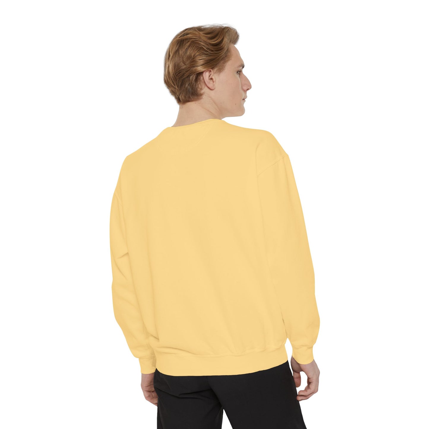 Garment-Dyed Sweatshirt, Unisex, Space Animal Design v1, Capricorn