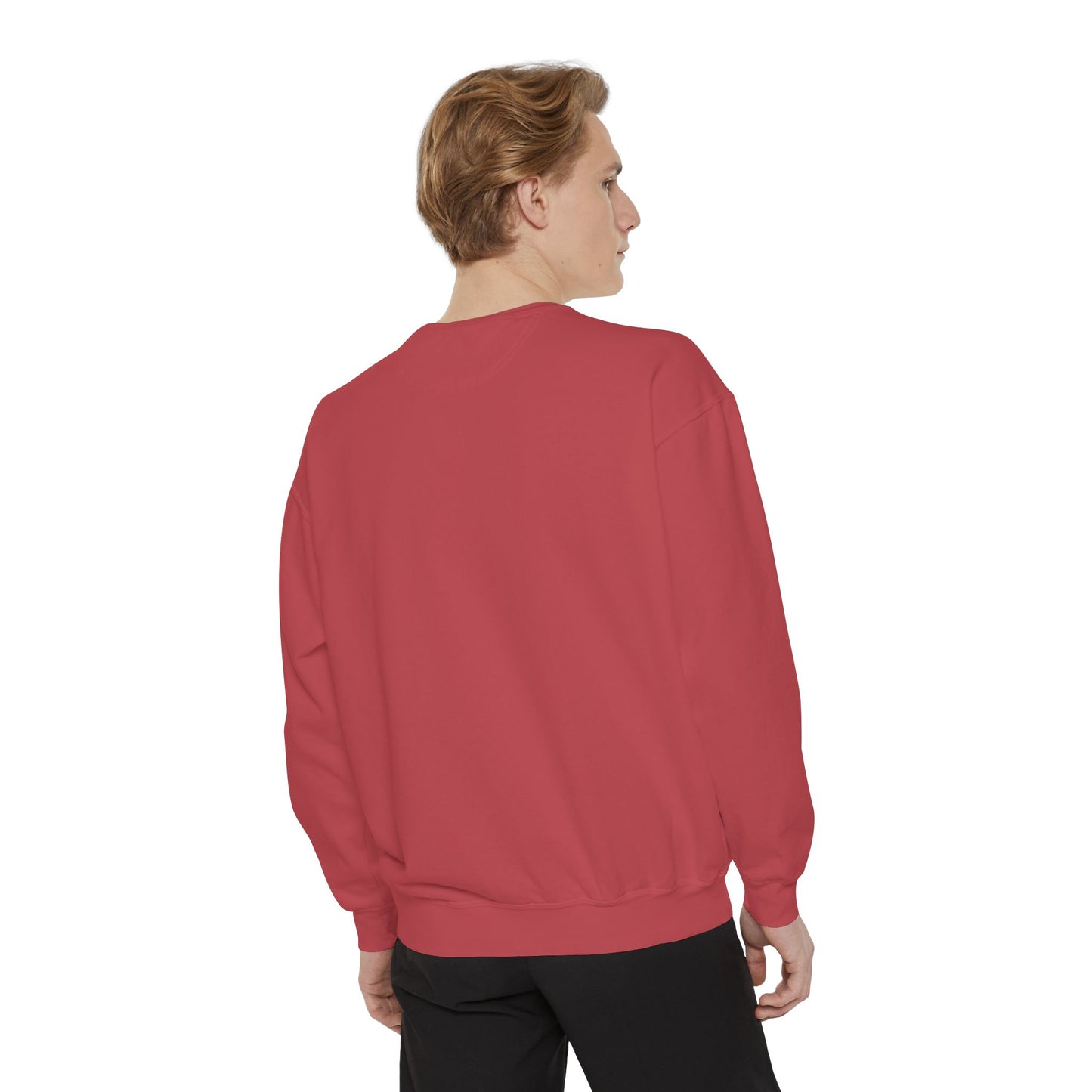 Garment-Dyed Sweatshirt, Unisex, Space Animal Design v1, Capricorn