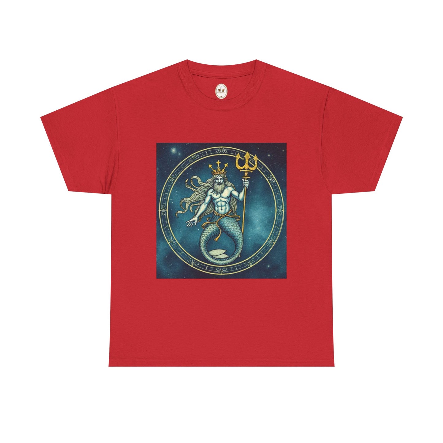 Unisex Heavy Cotton T-Shirt, Aquarius God 6v, Zodiac Design