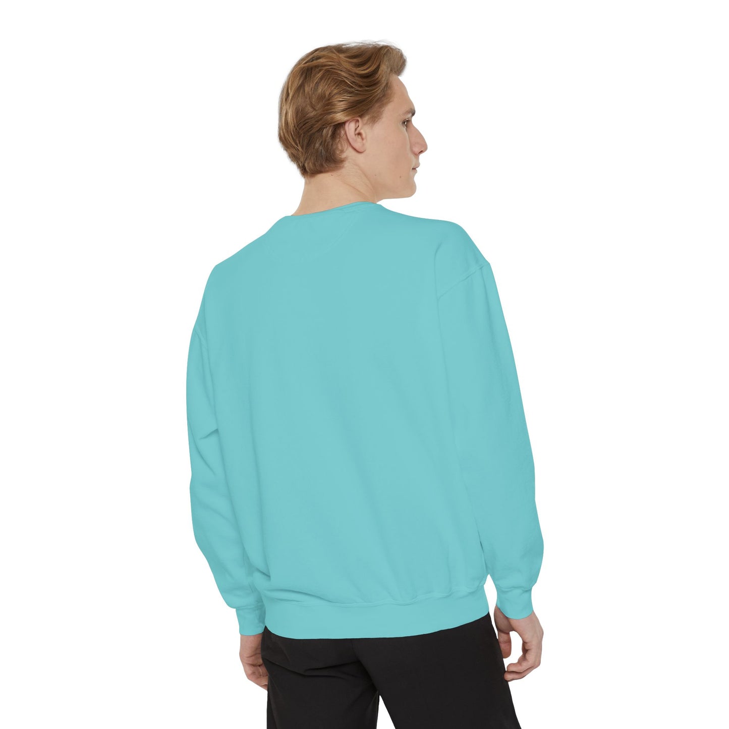 Garment-Dyed Sweatshirt, Unisex, Space Animal Design v1, Pisces