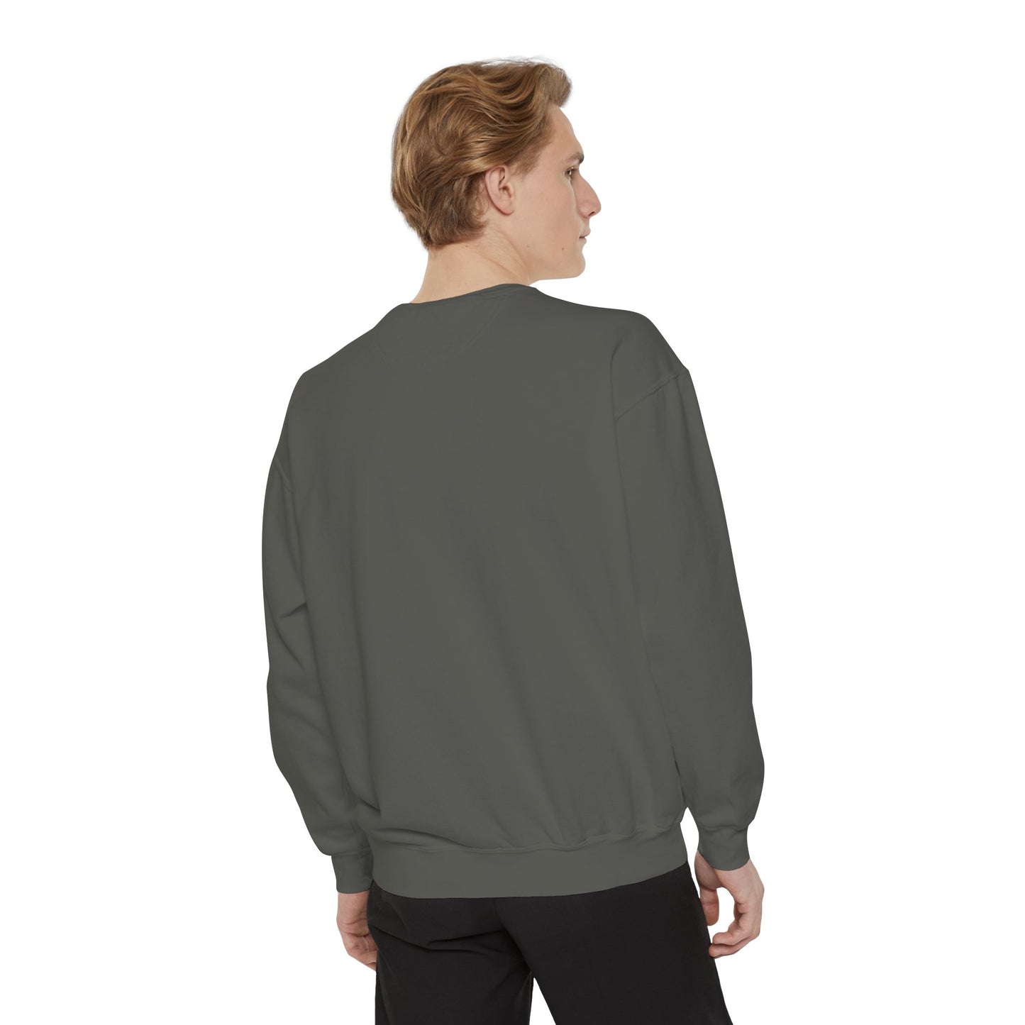 Garment-Dyed Sweatshirt, Unisex, Space Animal Design v1, Pisces