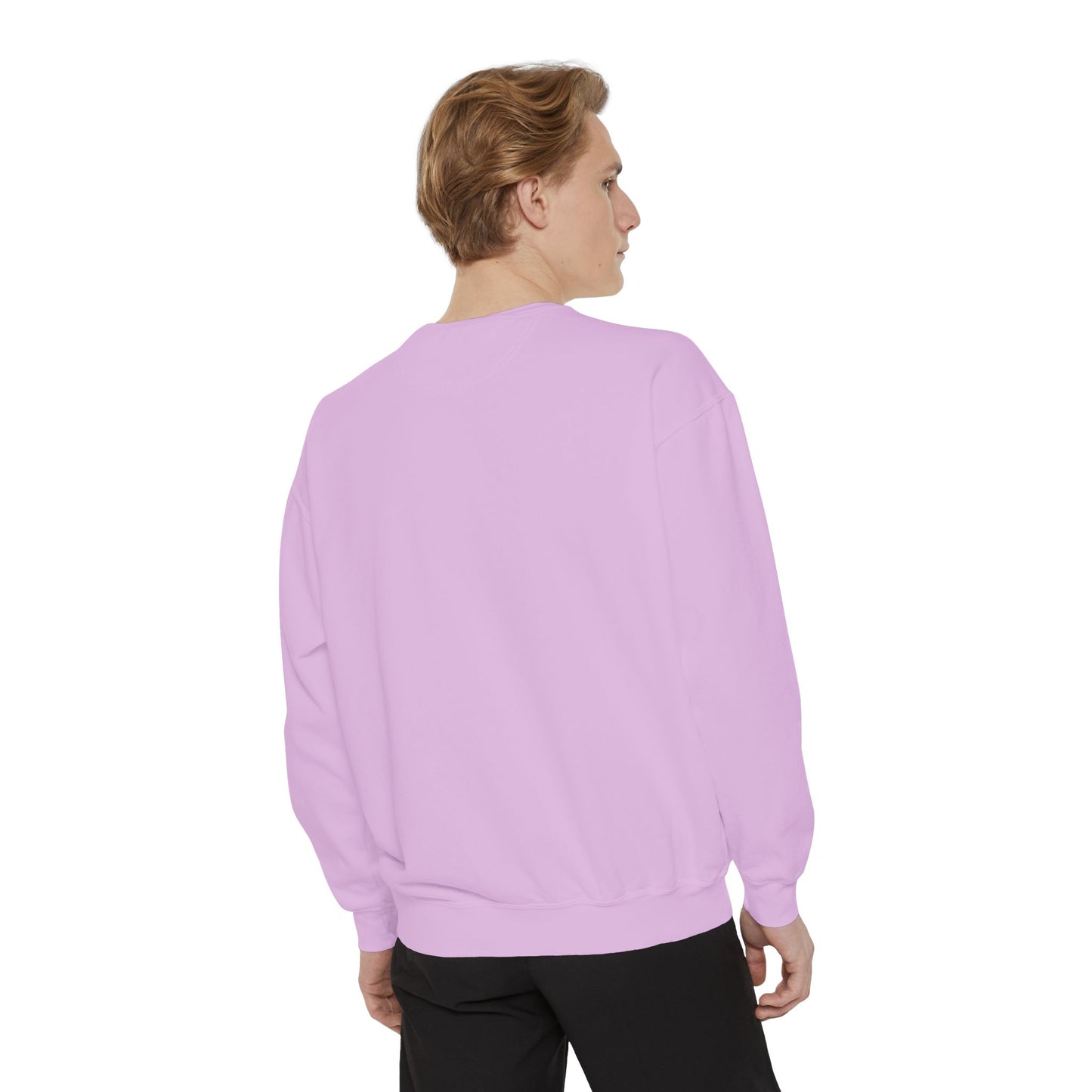 Garment-Dyed Sweatshirt, Unisex, Space Animal Design v1, Pisces
