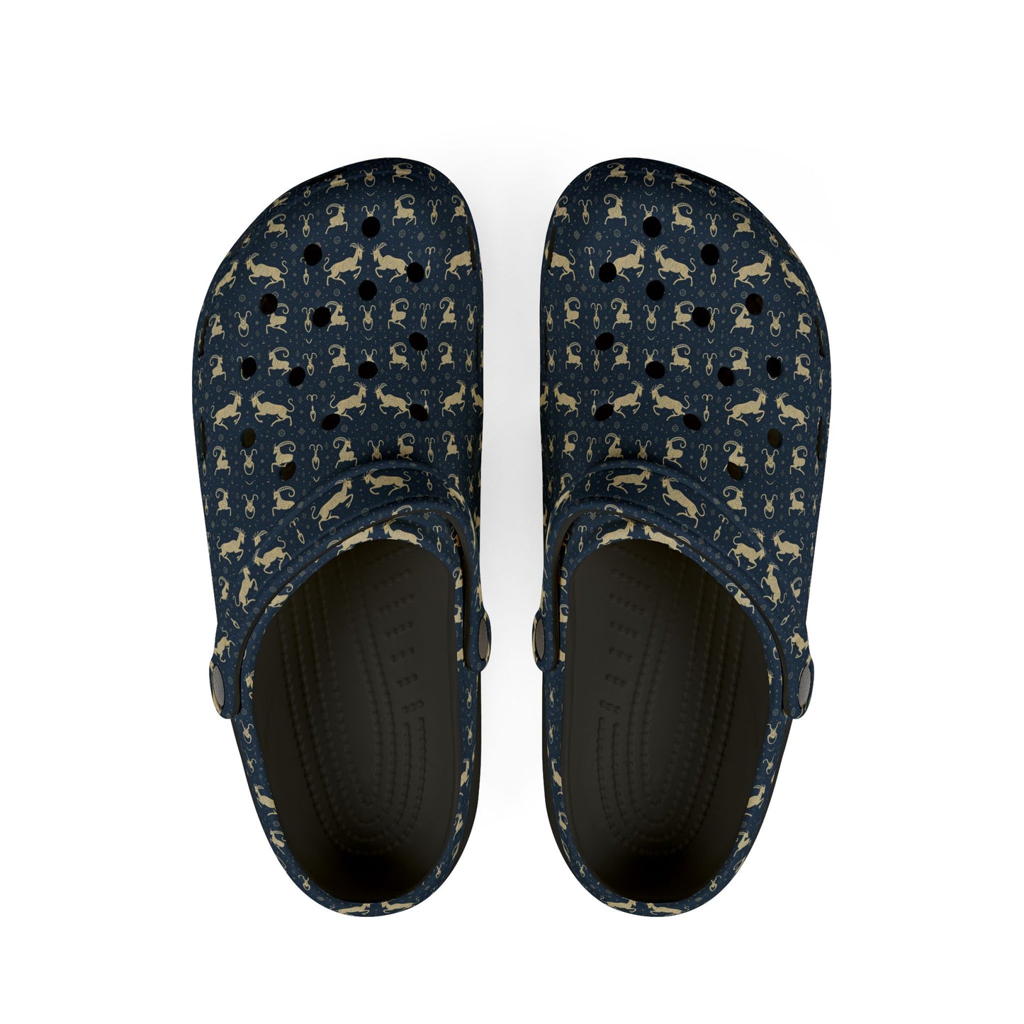 EVA Foam Rubber Shoes, (AOP), Capricorn, Zodiac v4, Pattern