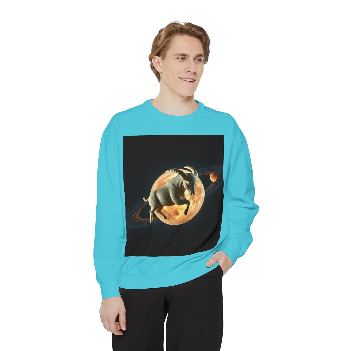 Garment-Dyed Sweatshirt, Unisex, Space Animal Design v1, Taurus