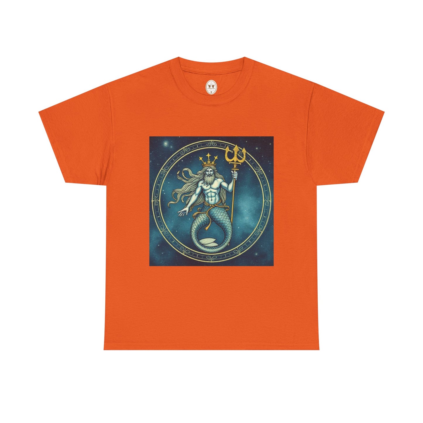 Unisex Heavy Cotton T-Shirt, Aquarius God 6v, Zodiac Design